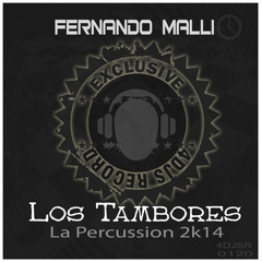 Fernando Malli - los Tambores ( La Percussion 2k14 mix)