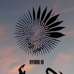 Hydrophilic Volume III