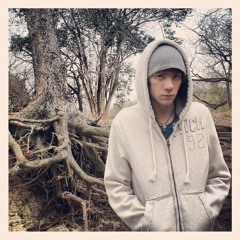 A Poem Without Words