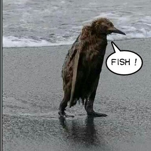 Sven Väth - Extrawelt Zu Fuss.mp3