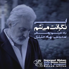 Negaraanet Misham