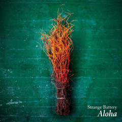 Heavy Rotation (AKB48 Cover)