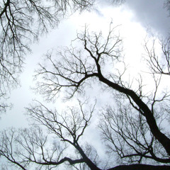 If It's Magic - Sam Keevers and Gary Pinto