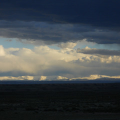 Too Much To Worry About by Social Fiction