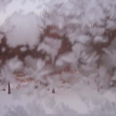 Industry (disquiet0111-actsofcommons)