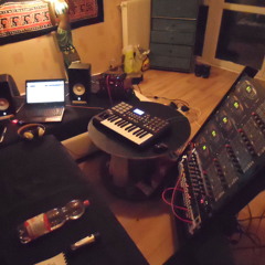 Poly Pulse (Waldorf) in the Living Room,Mark Bonn (01)