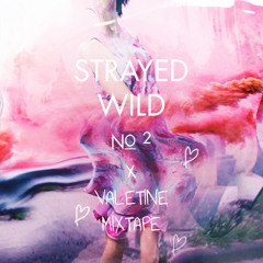 Strayed Wild No. 02 x Valentine Mixtape