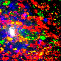 MY LAST VISION IS HER TERRIBLE SMILE