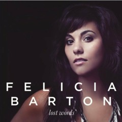Felicia Barton - Catching Shadows
