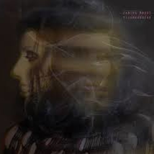 Do you - Carina Round