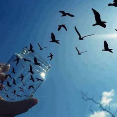 MY GROUND ( Original )