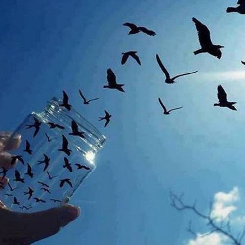 MY GROUND ( Original )