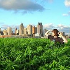 Mellow - Dramatic -  On My Way  (Feat. Devin The Dude & Vae)