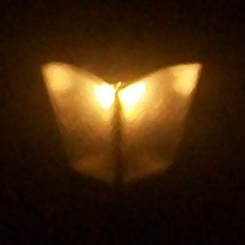 Scene through Dusty Windows