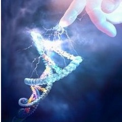 La Evolución De La Evolución De La Evolución