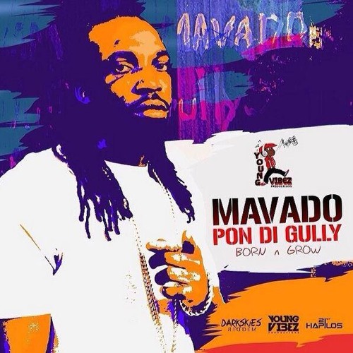 Mavado - Pon Di Gully | Born N Grow | February 2014 | @GullyDan_Gsp