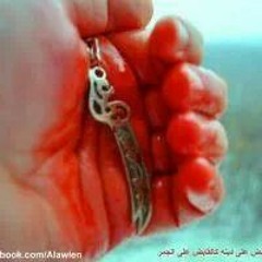 يا علي أنت الأسد..♥