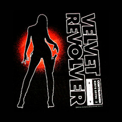 Velvet Revolver - Dirty Little Thing - Cover By Wayne