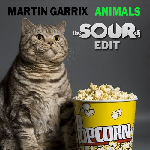Stream Martin Garrix - Animals (the Sour DJ Edit) by Matt Sour | Listen  online for free on SoundCloud