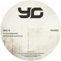 B1. David Gtronic & Chad Andrew - Rhyno (Original Mix) - Preview - YGV002