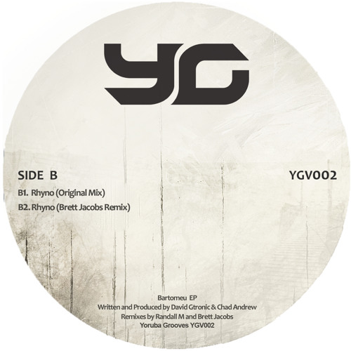 B1. David Gtronic & Chad Andrew - Rhyno (Original Mix) - Preview - YGV002