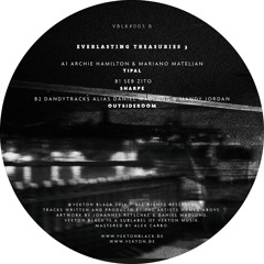 A1 Archie Hamilton & Mariano Mateljan - Tipal [Vekton Black 003] Vinyl Only