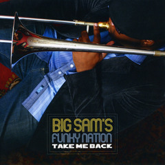 Ain't Nothin' But A Party - Big Sam's Funky Nation