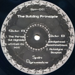 [Spin-D01] - A2 illogical logic
