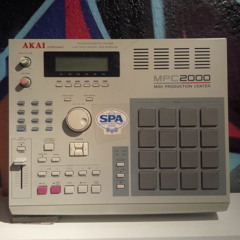 Lion P - Back to the Funk