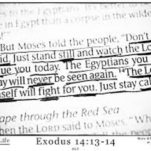 Stream Stand Still by OG Original Gospel Listen online for free on