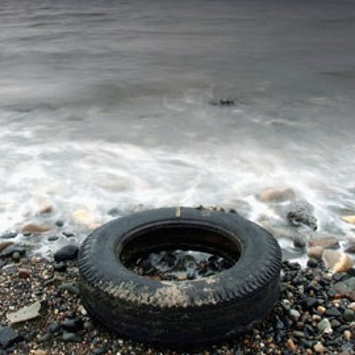 The Beach Comber