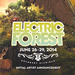 Electric Forest 2014 - Initial Lineup Top 25