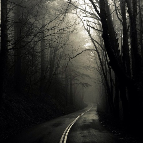 Greasy Black Elsewhere