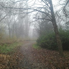 FOREST - BLEEDING FINGERS CONTEST