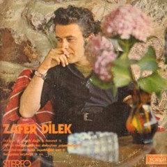 Zafer Dilek - Carsambayi Sel Aldi