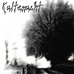 Kaltenacht - Instrumental Asylum (Lifelover)