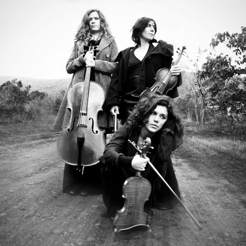 Dichters Dansen Niet/  Trio Zephyr  - Uit het kromme leven (een rechte leer) .  Uit Klipdrift - 2007