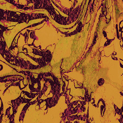 Adam Sussmann, Matt Earle, Jason Kahn - Carnage Side 2 (Sample)