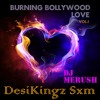 DesiKingz SXM BURNING BOLLYWOOD LOVE Non Stop Mélange Mix Vol.1 - DJ MERUSH