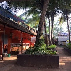 Anjuna Puszika