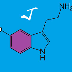 Serotonin (Free Download)