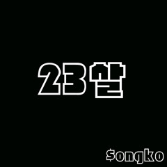 23살