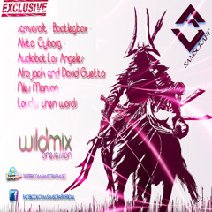 samscraft-WidMix