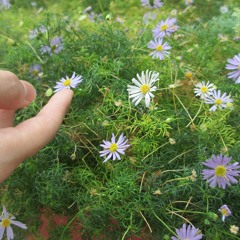 Heart Attack [Demi Lovato Cover]