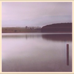 Suitcases On Springs