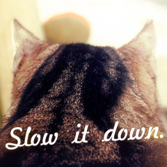 Slow it Down
