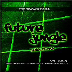 Lucas - Incongruous - Future Jungle Selections Volume 1