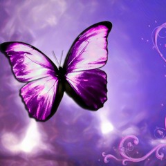 Pattampoochi - The Butterfly