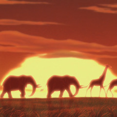 Ingonyama Inkosi Ezimbili