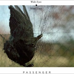 Passenger- What Will Become Of Us